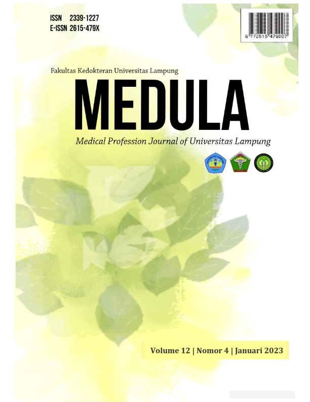 					View Vol. 12 No. 4 (2022): Medula
				
